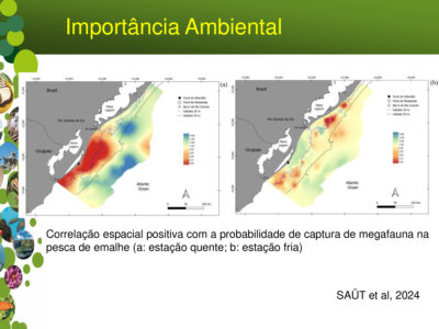 Proyecto Parque Nacional do Albardao 5